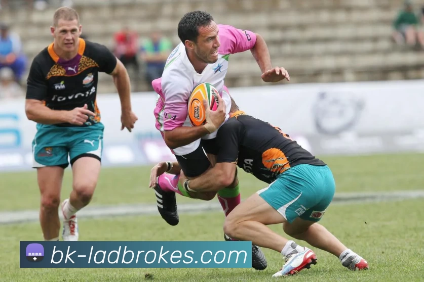 多媒体互动体验